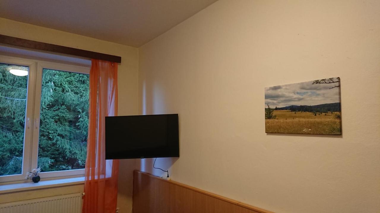 Apartmán NOVOHRADKY 22 Benesov nad Cernou Exterior foto