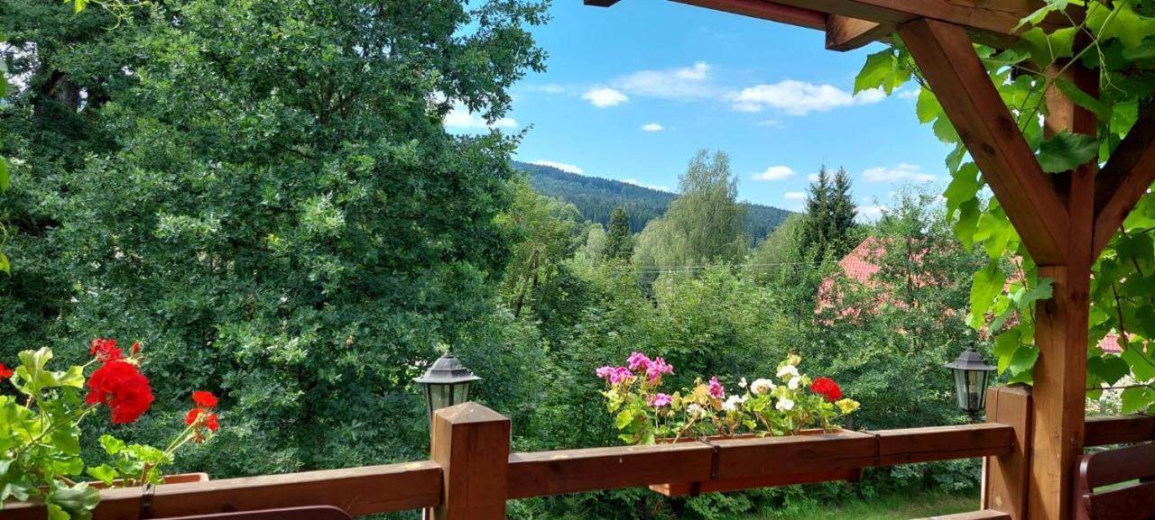 Apartmán NOVOHRADKY 22 Benesov nad Cernou Exterior foto